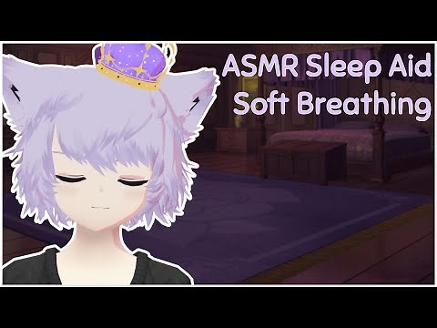 Sleepy Catboy Soft Breathing [ASMR Sleep Aid]