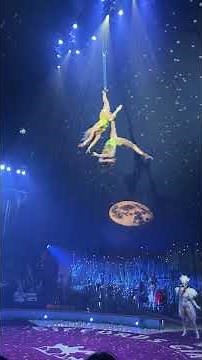 Sasha's Night at the Circus