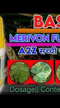 #Merivon #basf #bestfungicide in chilli crop #cumanL #syngenta
