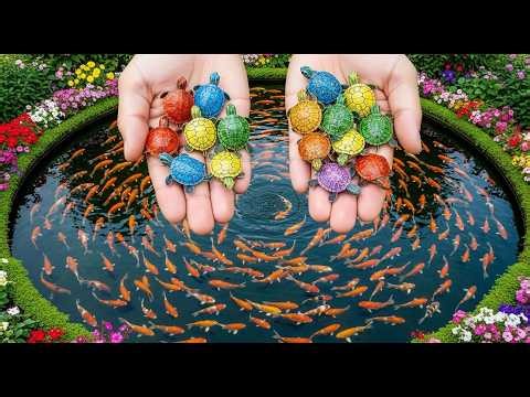 Crazy Discovery! Catching Hundreds of Tiny Aquarium Fish & Snails in a Small Pond 😱🐟🐌#tinyfish