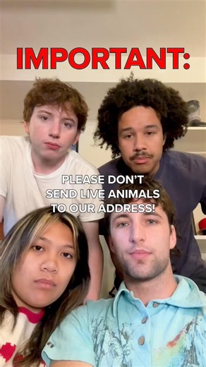 IMPORTANT!