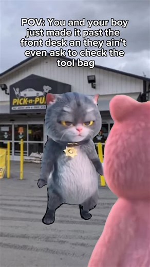 Pick-n-Pull Auto Parts on Instagram: "At Pick-n-Pull, we trust our customers — no need for airport-style security 🚗💨😂 #spareparts #junkyard #autosalvage #autoparts"