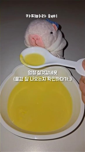 해미 야식 만들어주기🌃🤍 #카피바라 해미 #인형계 #새벽 감성 #카피바라 인형 #추천