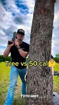“Can a tree stop a .50 cal bullet?”🤔 #shorts #ytshorts #trending #viral #fyp