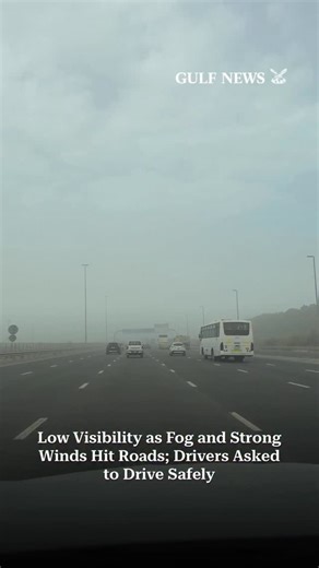 Gulf News on Instagram: "Weather Update : Foggy & Windy Weather - Drivers asked to drive carefully 🚗🌫️ #dubai #weather #uae #gulfnews"