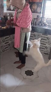 Kokila Modi best video 😂😂😂