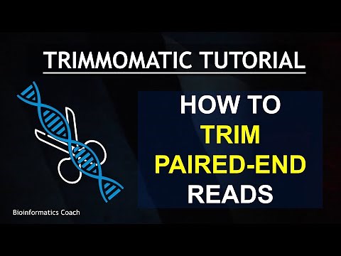 Paired-End Read Trimming with Trimmomatic | Paired End Reads | Single Sample