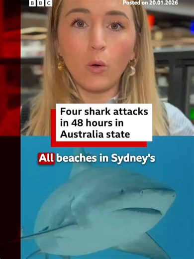 Authorities are warning people to stay out of the water in New South Wales after recent heavy rainfall. #Sydney #Shark #BullShark #NSW #Australia #News #BBCNews