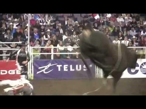 Canadian Finals Rodeo Thrills and Spills