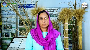 5.4K views · 40 reactions | UAF Technology Display where innovation...