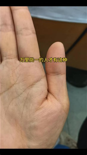 Xu Sheng | #手紋 #手相 #手相占い | Instagram