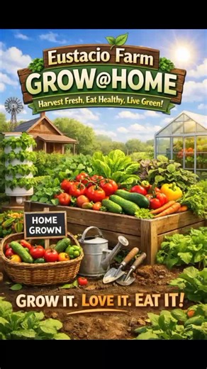 mr.wiser (@mr.wiser98)’s videos with original sound - mr.wiser