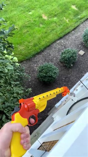 BUG-A-SALT on TikTok