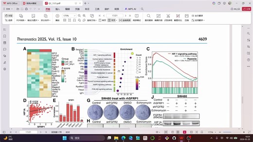 52桑基气泡图-自定义GO/KEGG通路展示