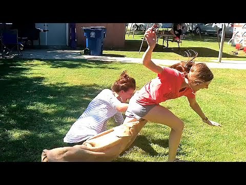 Funniest Spring Wipeouts || Hilarious Fails Under the Sun! 🌞😆