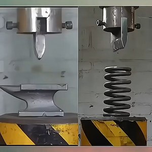 A solids test | Ryah the spider monkey