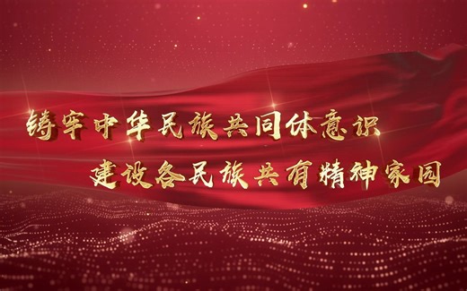铸牢中华民族共同体意识，建设各民族共有精神家园 完整版
