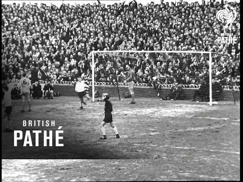 Fa Cup - Spurs V Wolves (1969)