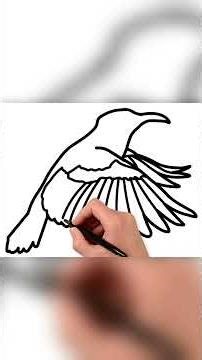 [Shorts] 🕊️ How to draw a Bird | Step by step tutorial to draw and color Bird | Pencil to Palette