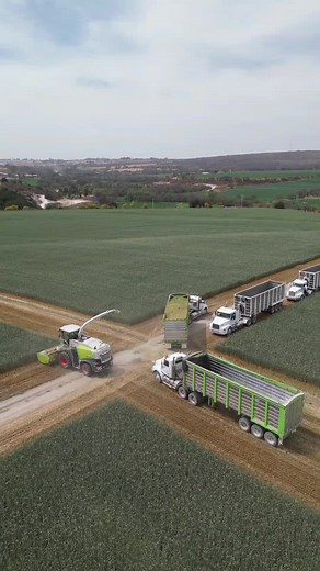 Triticale 2023 🌾 #drone#mini3pro#claasjaguar#claas#agriculture#silage#farming