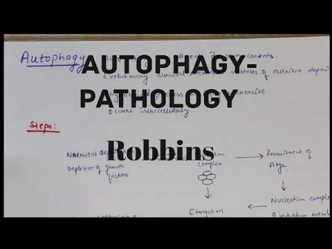 Autophagy| Pathology| Robbins| Explained in hindi