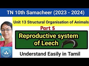 Reproductive System of leech| Class 10 Science Term 1 Unit 13