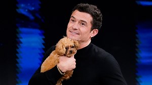 603K views · 7.6K reactions | Orlando Bloom brings his teeny tiny puppy Biggie Smalls out 凉 | The Tonight Show Starring Jimmy Fallon | Facebook