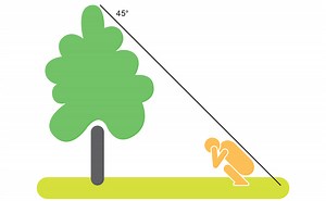 Suojautuminen salamalta - Ilmatieteen laitos