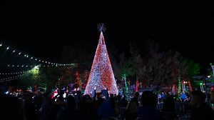 Magical Forest at Opportunity Village opens with new LED tree and festivities