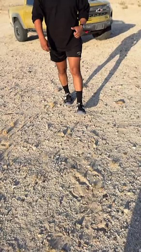 PARTS on Instagram: "Somebody get me a fly swatter Is this truck worth $60,850? Parts available too i #chevy #chevrolet #zr2 #zr2bison #truck trucks foryoupage foryou"