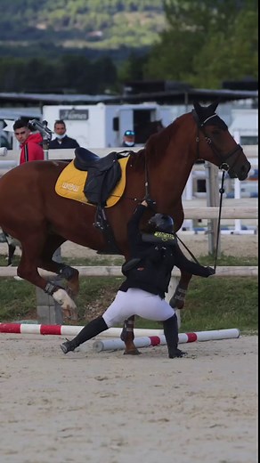 C’est cadeau 😂 #fail #cheval #chute #horse #fyp #cso #jumping #pourtoi #humor #horserider #equitation #foryou #viral #ohno #ohnonononoo