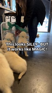 1.4M views · 5.4K reactions | Did you know motion and unpredictable...