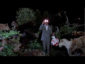 Pee Wee's Headlight Glasses