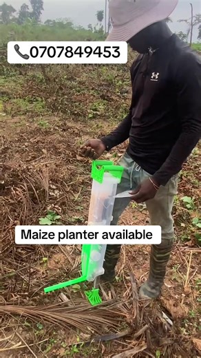Maizeplanter#maizeplanting#creatorsearchinsights#farming#farmerstiktok#farm#machines#tools