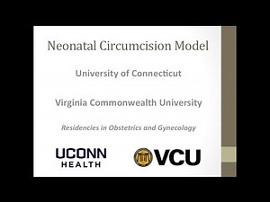 Neonatal Circumcision Model