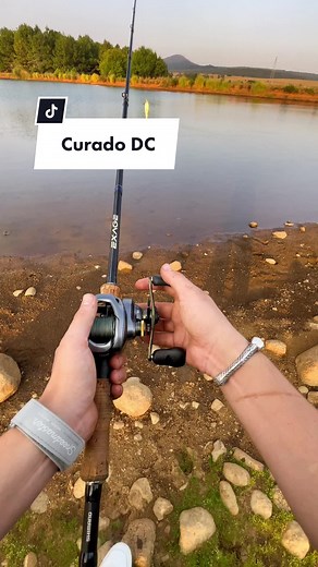 Curado DC 🔥🔥 #pesca #shimano #curadodc #fishing #outdoors #foryou | curado dc
