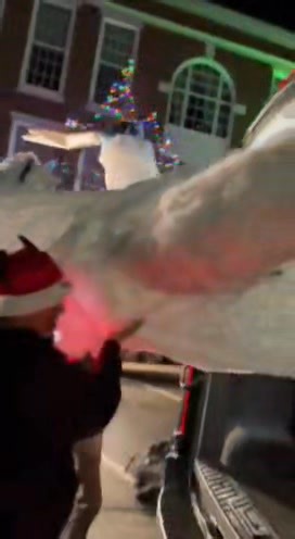 1.8K views · 16 reactions | Bumble had so much fun at the Town's...