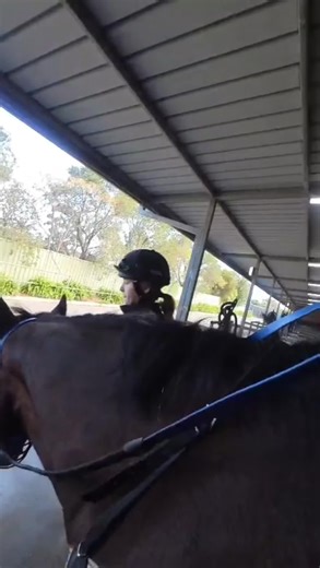 Experience Horse Racing Trackwork at Cranbourne