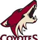 List of Defunct ice hockey teams in Arizona - FamousFix List