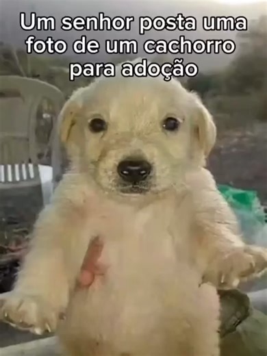 nener #fy #fypシ゚viral🖤tiktok #adoção #meme