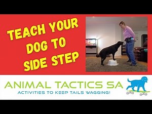 Teach Your Dog to Side Step - Advanced, Animal Tactics Level 2
