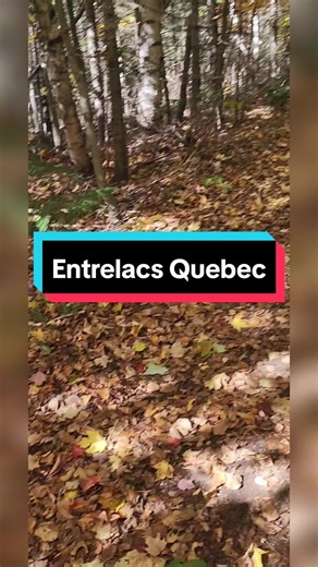 Je viens de passer une belle journée à Entrelacs, un charmant village de Lanaudière. Entre les lacs, les forêts et les sentiers tranquilles, c'était l'endroit parfait pour se ressourcer en pleine nature. Si vous aimez la tranquillité et les beaux paysages, c'est une destination à découvrir ! #foryou #pourtoi #المغرب🇲🇦تونس🇹🇳الجزائر🇩🇿 #canada_life🇨🇦
