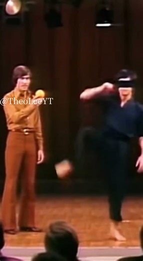 Bruce Lee Fast Reaction Blindfolded