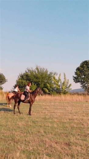 Correct stirrup placement protects your ankles and balance. 🏇 #HorseRidingTips #SoloSaddlersStories | Solo Saddlers