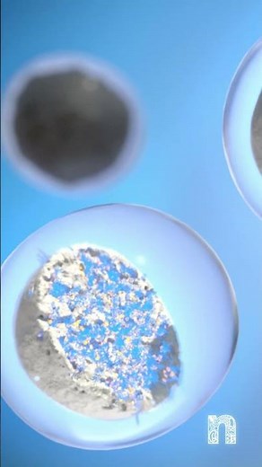 Catalyst Diagnostics using a Microreactor Platform