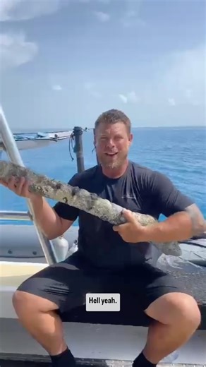 29K views · 233 reactions | 17th Century Musket! Dive Site (Find) ➡️ Lab (Conserve) ➡️ Museum (Display) Stay tuned for the final conserved artifact! #museum #artifacts #treasure #treasurehunter #treasures #musket #bahamas #treasures | Carl Allen | Facebook