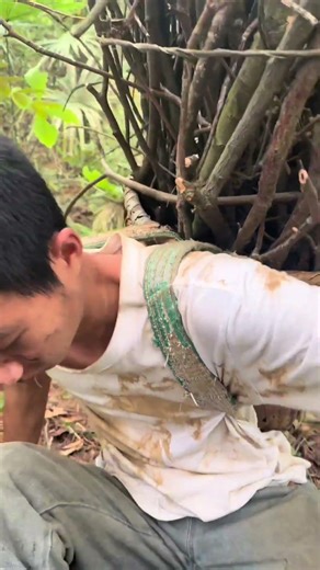 今天星星要上山捡柴#我的乡村生活