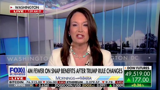 I don’t think we have remotely grasped the depths of Democrat fraud in this country yet. When you work two jobs and half your salary disappears in taxes, this is where the money goes. This is why I support ICE.