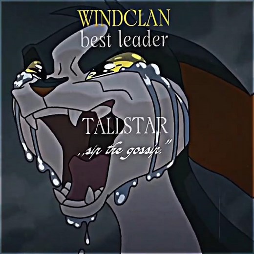 The best/worst leaders from Warrior cats (my opinion)//Inspiration ‪@acesqturn‬//#warriorcats