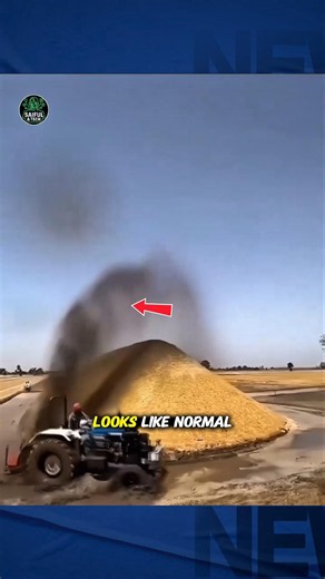 Why Farmers Cover Straw with Mud Before Storms? 🌾 The Brilliant Trick Explained!